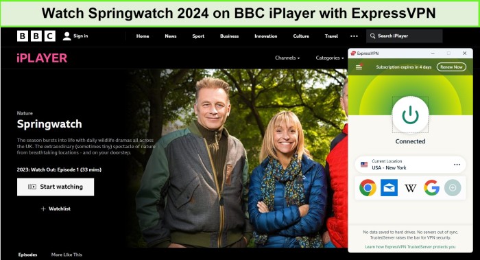 watch-springwatch-2024-in USA-on-BBC-iPlayer