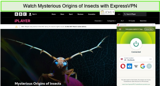 Sehen Sie „Mysterious Origins of Insects“ [intent-origin='outside'-tl='in'-parent='uk'] [region-variation='2'] auf BBC iPlayer mit ExpressVPN